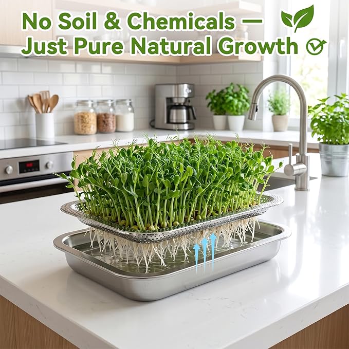2-Pack Stainless Steel Seed Sprouting Tray Kit, Soil-Free Microgreens Growing Kit with Towel & Gauze, Sprouting Trays for Microgreens Beans Alfalfa Broccoli Wheat Grass (10.6" x 7.8")
