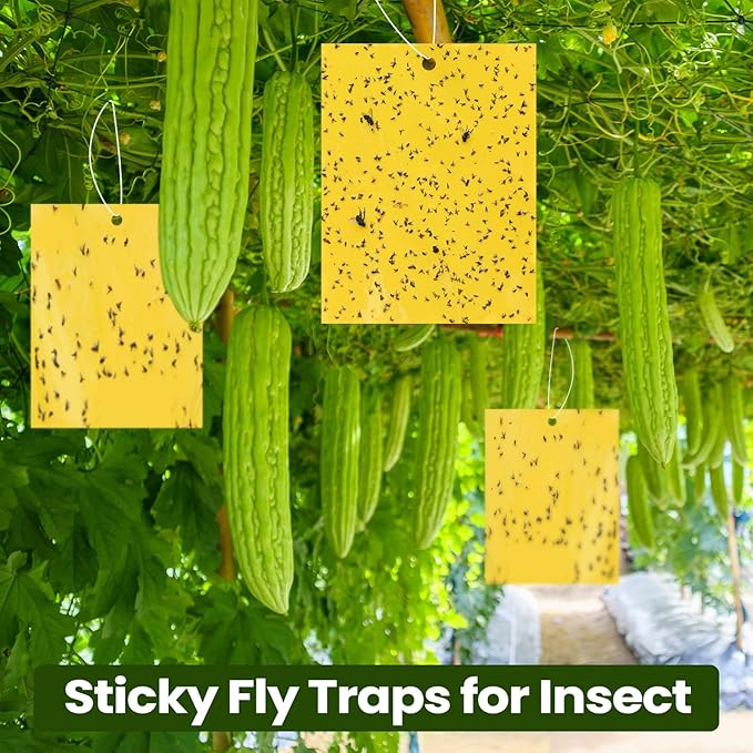 Qualirey 250 Pcs 6x8 Inch Yellow Sticky Traps for Gnats, Dual-Sided Sticky Gnat Traps for Indoor Outdoor Plants, Pest Control for Fungus Gnats, Fruit Flies, Whiteflies – Bulk Pack with Twist Ties