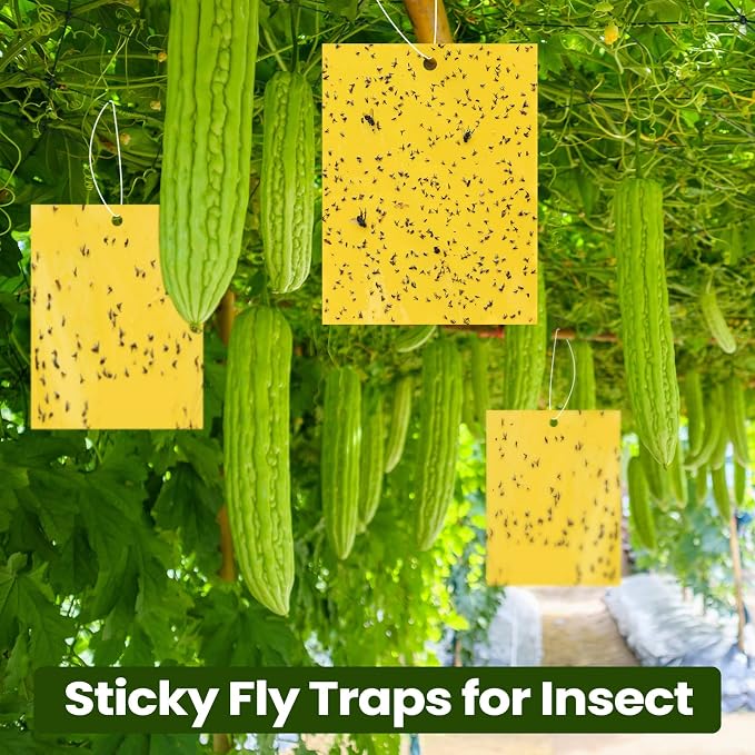 Qualirey 500 Pcs 6x8 Inch Yellow Sticky Traps for Gnats, Dual-Sided Sticky Gnat Traps for Indoor Outdoor, Fly Catcher for Fungus Gnats, Fruit Flies, Whiteflies– Bulk Pack with Twist Ties