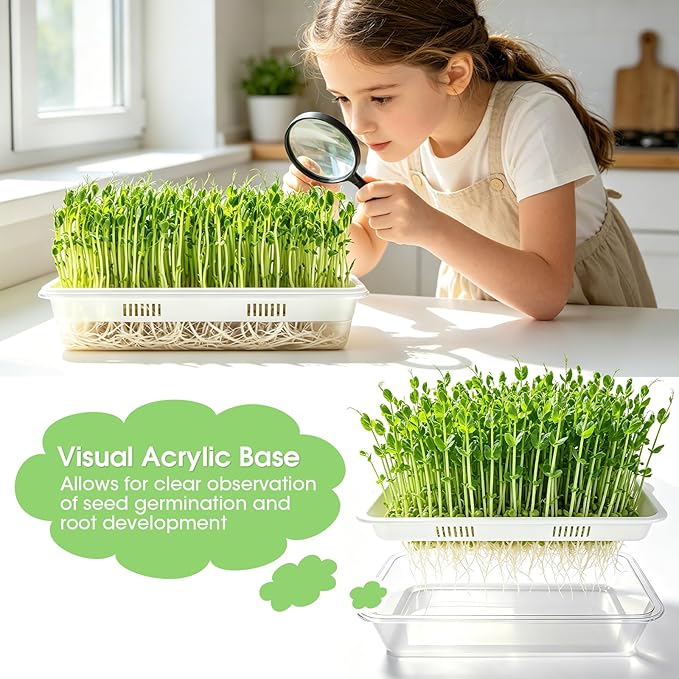 3 Pack Hard Acrylic Microgreens Growing Trays, Visual Soilless Sprouting Kit with Silicone Mats & Spray Bottle, Seed Germination Tray for Wheatgrass, Cat Grass & Vegetables