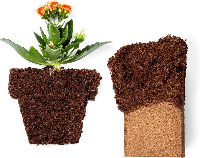 Coco Coir 650gm Bricks (10-Pack) + Worm Bliss (2 Gallons) - Organic Coco Coir for Plants & Worm Castings for Plants - Coconut Coir Bricks - Earthworm Castings Worm Fertilizer - Garden Soil Potting Mix