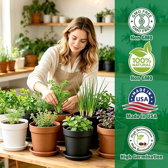 12 Herb Garden Kit Indoor, Complete Kitchen Window Herbs Seeds Growing Starter Set Kit Gardening Gift Birthday Housewarming Christmas Gift for Women Her Mom Men Home Chefs Gardener Beginner