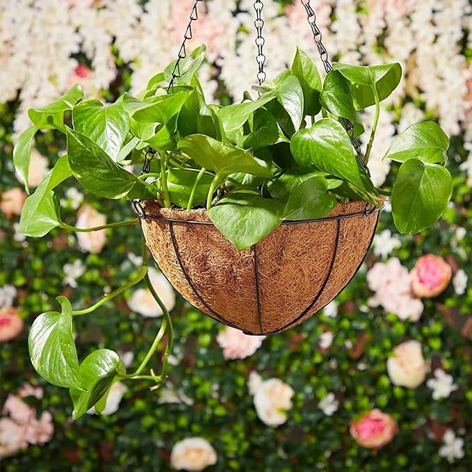 LCHUANG Hanging Baskets Planter for Plants - 2 Pack 12 Inch Metal Baskets with Coco Coir Liner, Hanging Flower Pots for Outside with Chain, Indoor Outdoor Garden Porch Decoration (12'' Pack of 2)