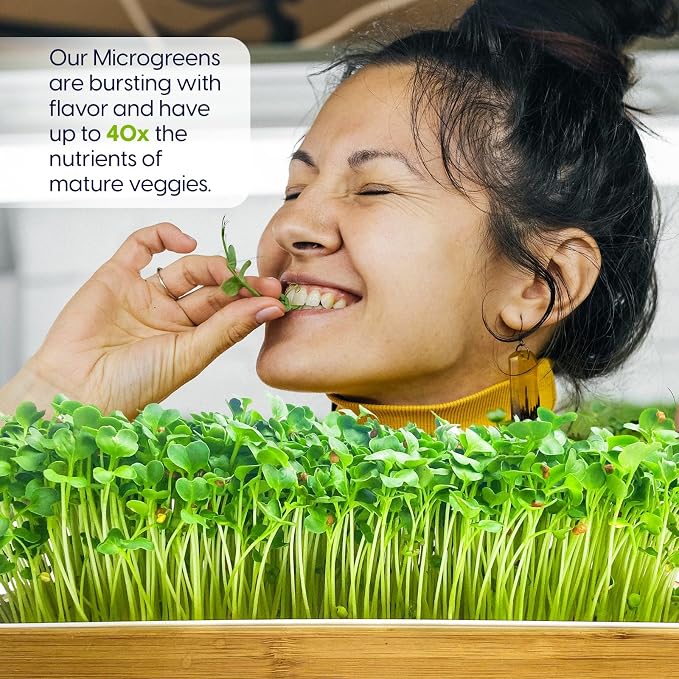 Self Watering Microgreens Growing Kit. Hands Down the Easiest Way to Grow Microgreens. Includes Tray, Seeds, Mats, and Bamboo Surround. Great Gift for Gardeners