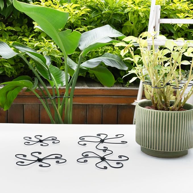 Yohsnor Black Monstera Plant Support Hook - 6.5 * 6.5IN -5 Piece Set, Durable Metal Stem Supports for Indoor Plants, Leaf Holder & Fishbone Cactus Stake, Stylish Design for Healthy Growth & Easy Care