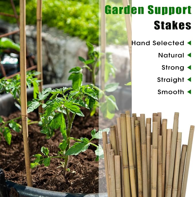 Plant Bamboo Post,8Feet,40Pack,Bamboo Garden Stakes,Bamboo Stakes,for Tomato,Beans,Vegetable and Flowers, Potted Plants,Indoor and Outdoor Climbing Plants (8Ft,40Pack)