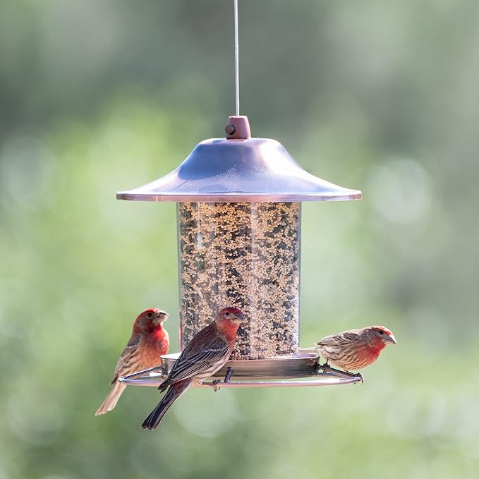 Perky-Pet 517282 Copper Panorama Bird Feeder 312C, 1 Tier