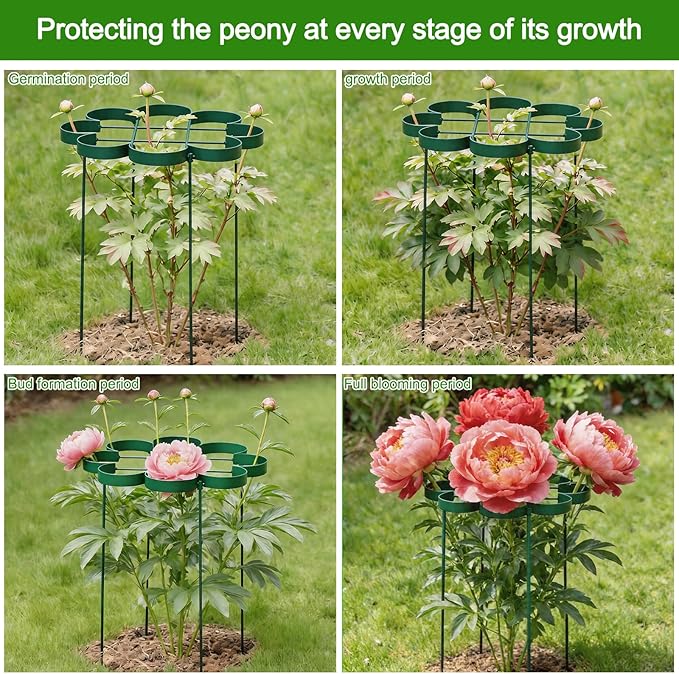 Peony Cages and Supports - Outdoor Plant Support for Peonies & Dahlias - Durable Flower Support System with Snake Ring Stakes - Ideal Gift for Gardening Enthusiasts
