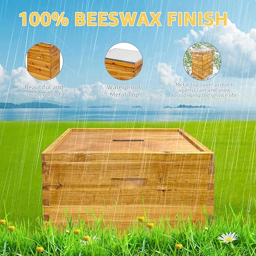 5-Layer Langstroth Bee Hive Kit, 100% Beeswax Coated Wood Beehive Includes 2 Deep Breeding Boxes and 3 Medium Super Boxes, 10-Frame Standard Bee House with Metal Top Cover, No Frames