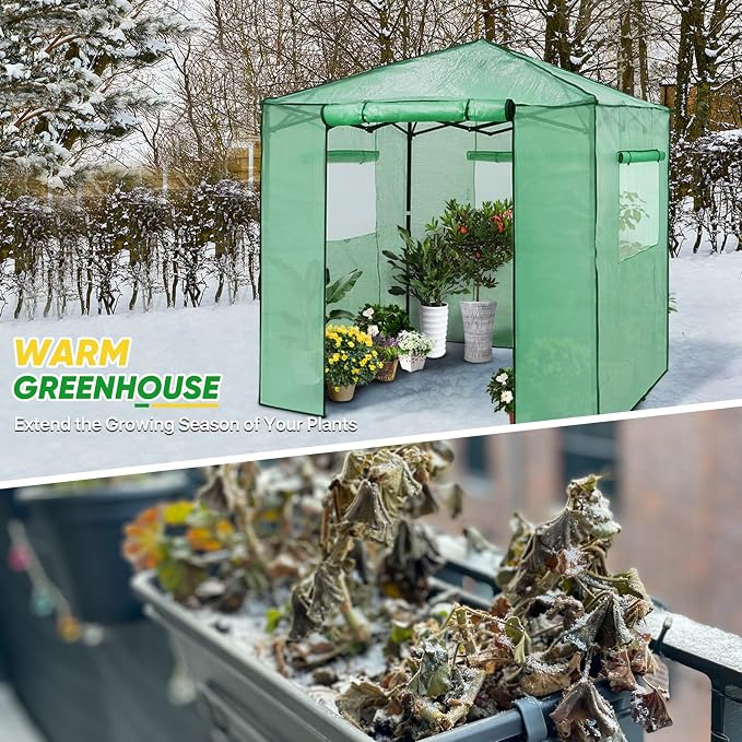 EAGLE PEAK 7x7 Portable Walk in Greenhouse, Pop Up Indoor Outdoor Greenhouse, Green House Kit with Zippered Roll-Up Doors and Windows + Mesh Lining & 2 Foldable Shelves, PE Cover, Clear/Green