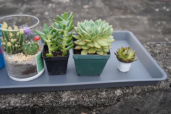 VUWEZ 4 Pack Plant Saucer Tray Rectangular, Plant Saucers for Indoors, Heavy Sturdy Plastic Plant Drainage Trays, Plant Drip Trays for Pots, Seed Starter Growing Tray (11 x 9 inch, Gray)