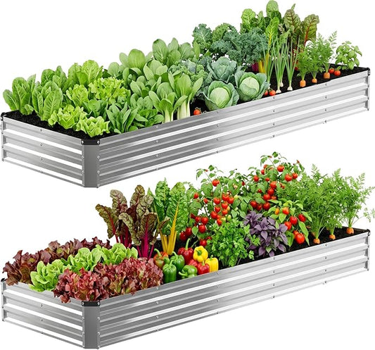 DUMOS Galvanized Raised Garden Bed Outdoor, 12x4x1ft 2 Pack Raised Metal Planter Box, Rust-Resistant Steel Garden Planter, Rectangular Gardening Flower Bed for Vegetables Flowers Herbs, Open Bottom