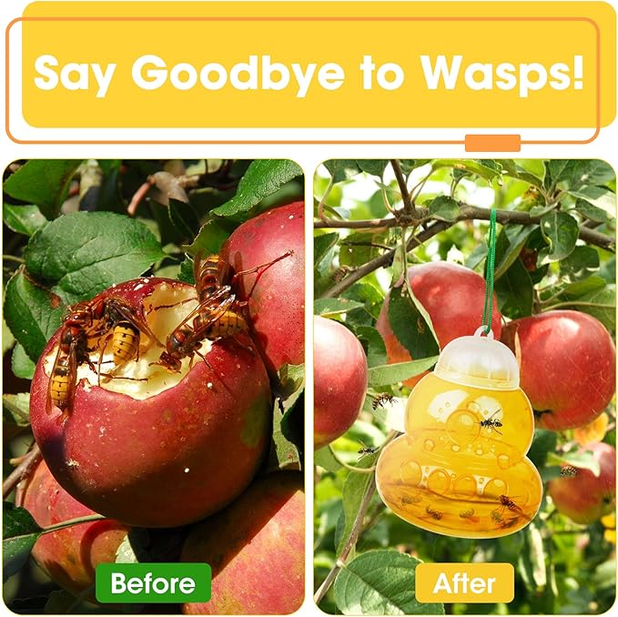 2 Pack Reusable Wasp Traps Outdoor Hanging Yellow Jacket Trap Carpenter Bee Traps for Outside Hornet Trap Wasp Catcher for Outdoors, Wasps Killer Garden, Farm, Insect Bug Flies