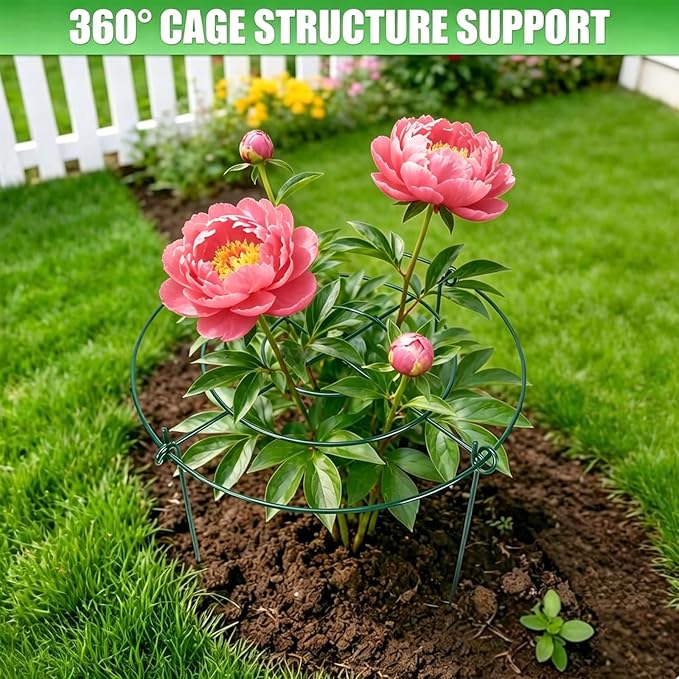 DAYUMKOU 4 Pack Peonies Cages and Supports, 11.5" Wide x 16" High Plant Support Stakes, 4 Legs Plant Cages & Supports with Removable Grid for Peonies Roses Tomato Hydrangea Strawberry
