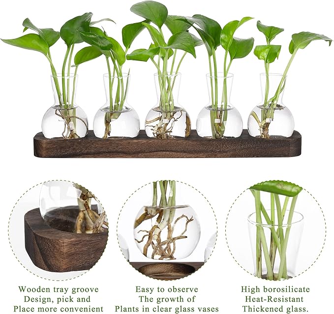 YIBOT Propagation Vases for Plants Terrarium with Wooden Tray,5 Glass Vases | Tabletop Plant Terrarium for Propagating Hydroponic, Retro Glass Planter Flower Vase Home Kitchen Office Decor Gifts
