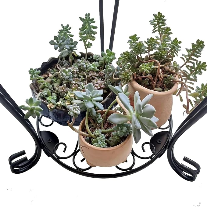 CASIMR 2 Tier Plant Stand, 26.8 inch Tall Metal Potted Holder Rack,Indoor Outdoor Multiple Flower Pot Shelf Rustproof Iron Garden Container for Garden Patio Living Room Corner Balcony, Black