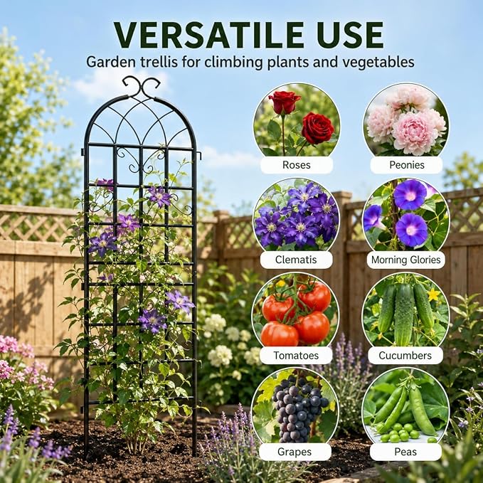 4 Pack Garden Trellis for Climbing Plants Outdoor, 71"H x 20"W Rust-Resistant Metal Plant Support for Rose, Vine, Cucumber & Clematis, Decorative Scrollwork Trellis for Yard, Lawn or Wall Decor