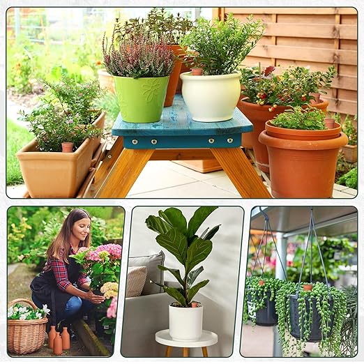DoubleFill 6 Pcs 24oz Ollas Terracotta Watering Pots Self Watering Planter Insert Terracotta Globes Clay for Outdoor Indoor Garden Plants, Easy to Refill