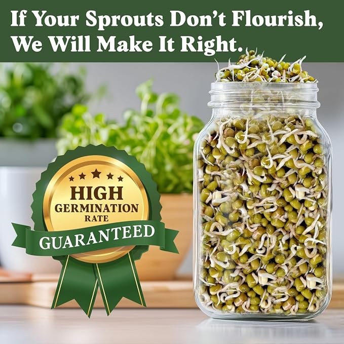 Seedboy Organic Non-GMO Mung Bean Seeds for Sprouting - Microgreens Sprouting Seeds - 8 oz Bag Makes 6 Quarts / 24 Servings (Mung Bean)