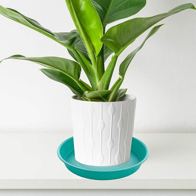 2 Pack of 8 inch Plant Saucer Clear, Heavy Duty Plastic Plant Water Tray 8 inch Round, Flower Plant Saucers for Indoors No Holes, Plant Dishes Saucer for Planter 7"/8" (8", Teal)