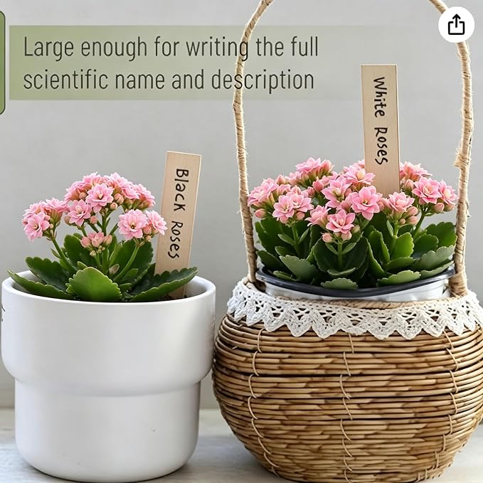 30PCS Plant Labels,6IN Wooden Plant Markers,Garden Label Stakes,Garden Markers for Plants Outdoor,Plant Tags Stakes，Garden Tags for Outdoor Plants Waterproof，Gardening Supplies