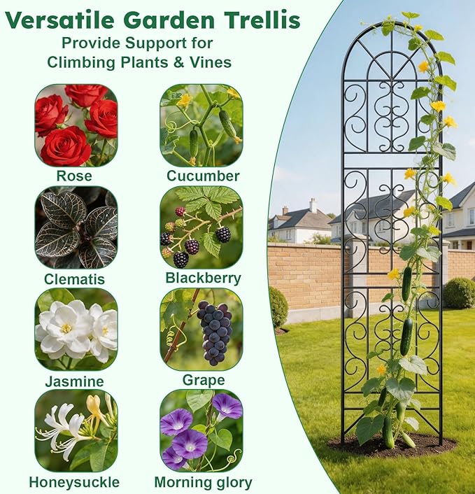 2 Pcs 60" H X 11.8" W Trellis for Climbing Plants Outdoor, Small Metal Garden Trellis for Outside, Sturdy Support Garden Plant Trellis Arch for Rose Cucumber Flower Vine Decor