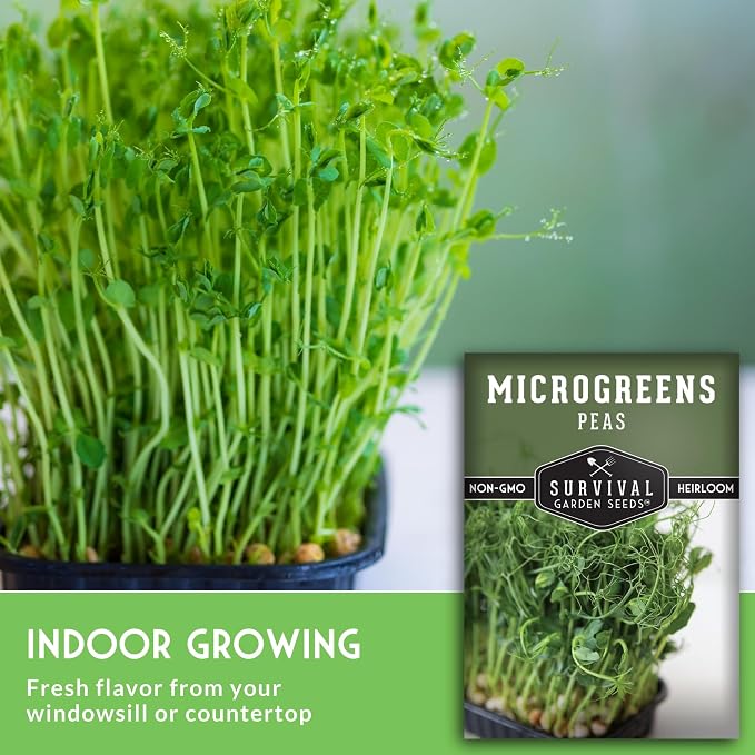 Pea Microgreens Seeds for Sprouting and Growing Indoors – Sweet, Tender Shoots for Windowsill or Countertop Gardens – Grow Your Own Mini Greens – Non-GMO Heirloom – Survival Garden Seeds (2 Pack)