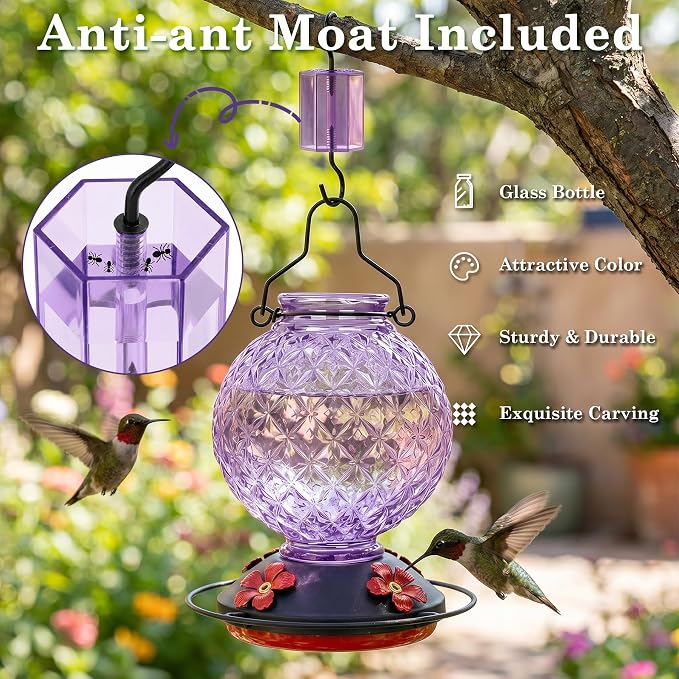 25 OZ Glass Hummingbird Feeder for Outdoors, Leak Proof Hummingbird Feeder with Ant Moat, 4 Bee Resistant Feeding Ports, Easy Clean Wide Mouth Design, 360° Perch, Purple