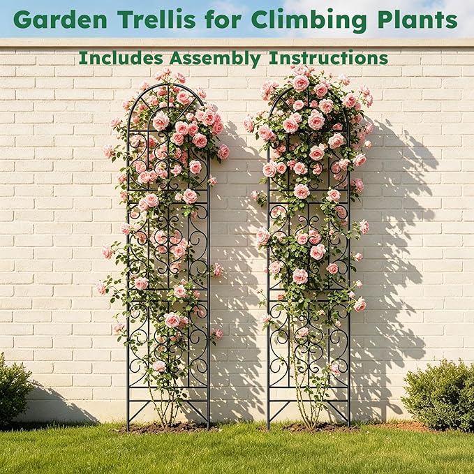 2 Pcs 60" H X 11.8" W Trellis for Climbing Plants Outdoor, Small Metal Garden Trellis for Outside, Sturdy Support Garden Plant Trellis Arch for Rose Cucumber Flower Vine Decor