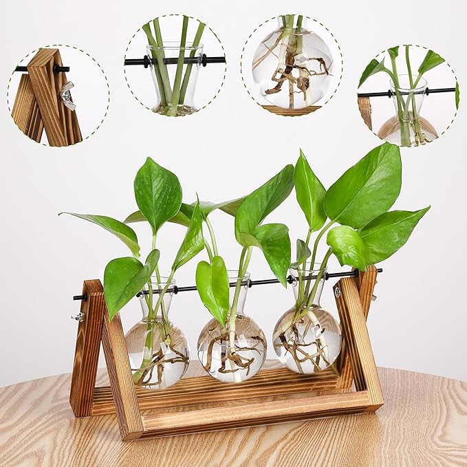 YIBOT Plant Propagation Stations with Wooden Stand & 3 Glass Bulb Vases | Plant Terrarium for Indoor Plants, Home Office Desk Decor, Gardening Gifts for Women Mom, Birthday Gifts for Plants Lovers