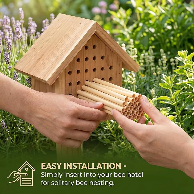 100PCS Mason Bee Tubes, Phragmite Reed Bee Tubes, Honeycomb Reed Tubes Bees House Nest for The Garden Pollinator House Gardening Gifts