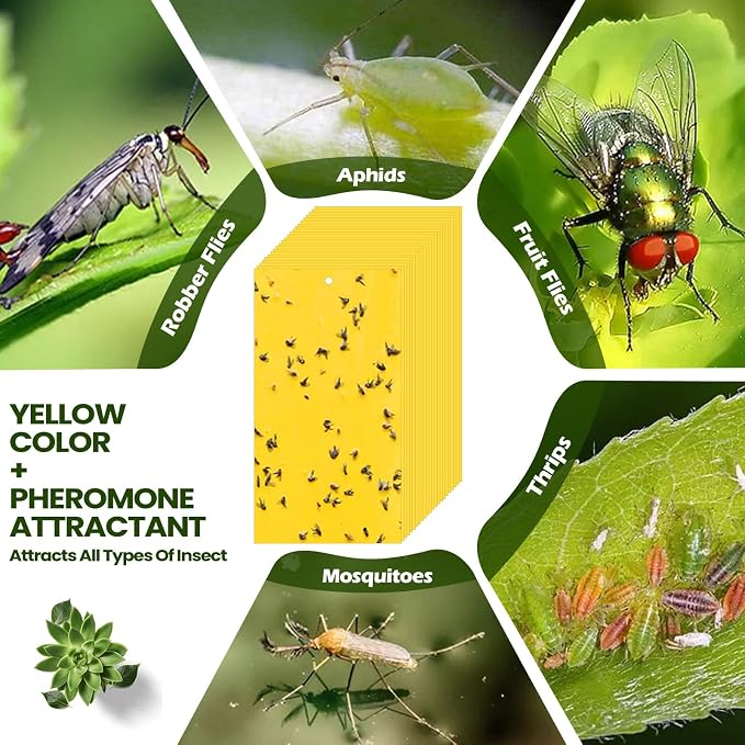 Qualirey 9.8 x 5.9 Inch Large Yellow Sticky Traps for Gnats Double Sided Sticky Trap for Plant Whiteflies, Aphids, and Black Flies with Twist Ties,Indoor and Outdoor (150 Pcs)