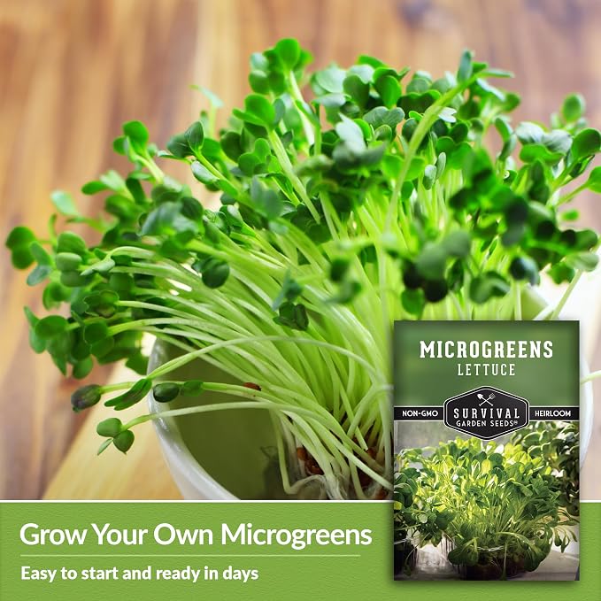 Lettuce Microgreen Seeds for Planting - Non-GMO Heirloom Lettuce Seeds to Grow Crisp, Tender Microgreens - Indoors or Hydroponic - Fast Germination, Mild Flavor - Survival Garden Seeds (5 Packs)
