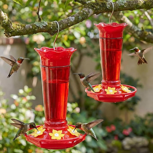 Gbekery 10 OZ Glass Hummingbird Feeders for Outdoors Hanging - Red 2 Pack, Ant & Bee Proof and 6 Feeding Ports, Garden Yard Décor Gifts for Mom