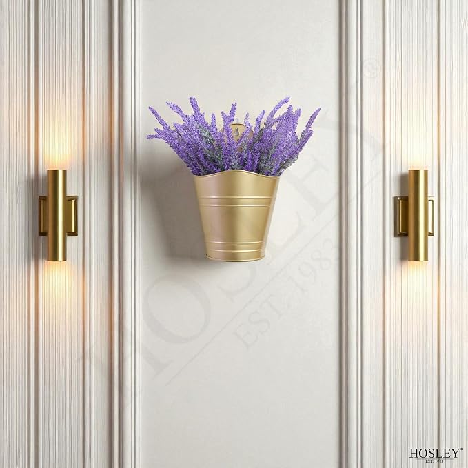Hosley Set of 2 Gold Wall Planter with PVC Linner 6.25" L x 4" W x 10" H, Ideal Gift for Floral Arrangements Wedding Home Office Party DIY Indoor Outdoor Garden Patio