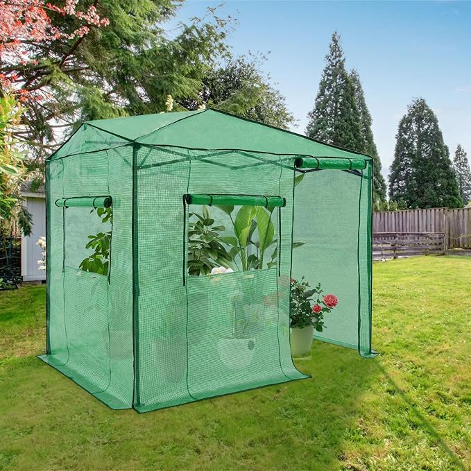 EAGLE PEAK 6x8 Portable Walk in Greenhouse, Pop Up Indoor Outdoor Greenhouse, Green House Kit with Zippered Roll-Up Doors and Windows, Side Door Design, PE Cover, Clear/Green