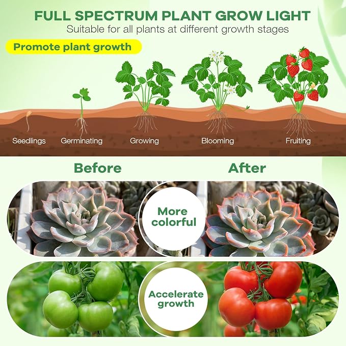 Led Grow Lights, 4 Heads Red Blue Plant Light with Clamp for Indoor Plants & Seed Starting, 10-Level Dimmable, Auto On Off, Timing 3 9 12Hrs