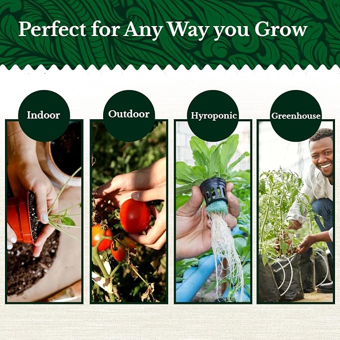 20 HERB Seeds Variety Pack - Complete Grow Kit Culinary Herbs Indoor Outdoors Herb Seeds, Basil, Oregano, Mint, Thyme & More Individually Seed Packets Starter Kit (Complete Starter Kit w/Seeds)