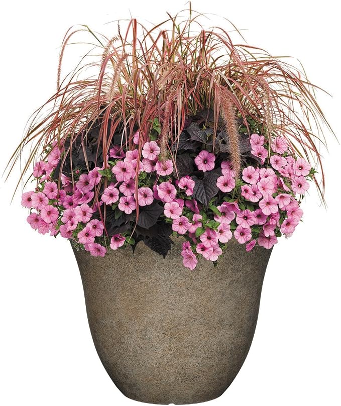 Classic Home and Garden Honeysuckle Resin Flower Pot Planter, Fossil Stone, 15" (Pack of 2)