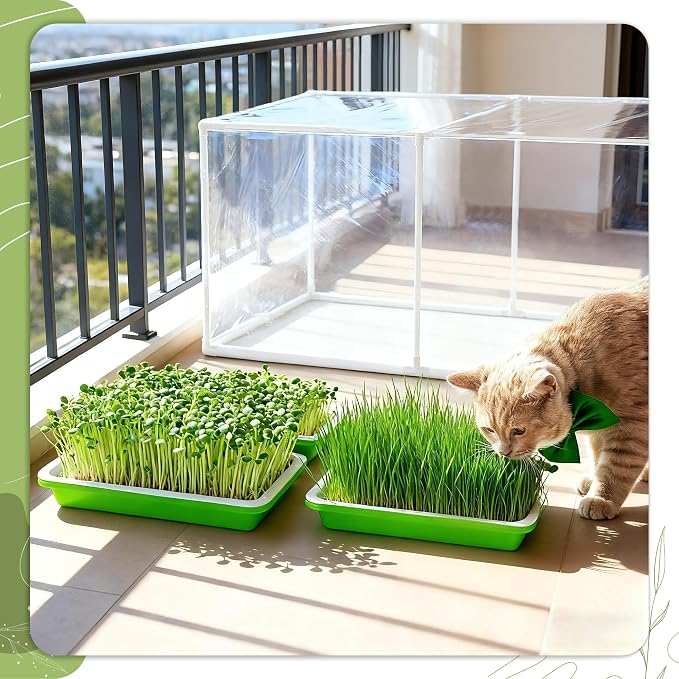 U0U Mini Greenhouse for Indoor Plants,Portable Small Greenhouse with Plastic Film,Indoor Greenhouses for Small Plant Seed Starter Tray, Sprouting