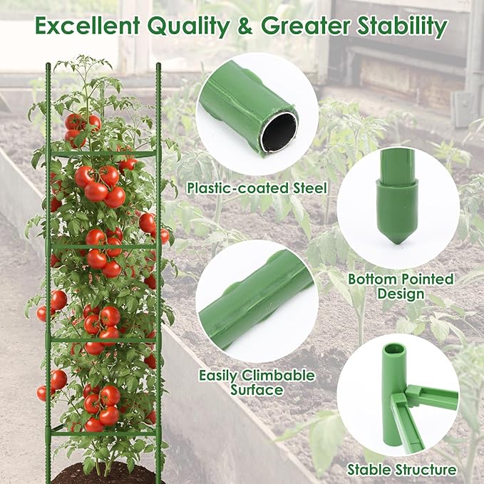 CEWOR Tomato Cage - 6 Pack Tomato Trellis, 63 Inch Extra Tall Tomato Cages for Garden, Garden Stakes Triangle Plant Stake Structures for Climbing Plants Outdoor, Pots, Raised Garden Bed, Vegetables