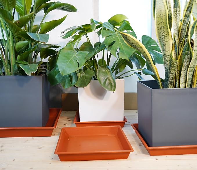 NIMYAU Square Plant Saucer 10 Inch 5 Pack, Plant Stand Flower Pot No Holes, Plant Trays for Pots Heavy Duty Plastic Plant Saucers for Indoors Outdoors Terracotta Plant Lover Gardening Gifts