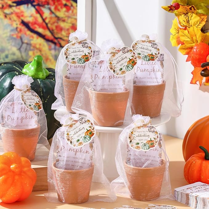 Ctosree 50 Sets Little Pumpkin Baby Shower Party Favors Thanksgiving Baby Shower Seed Packet for Guests Little Pumpkin Is on the Way Gifts Self Adhesive Seed Packets Thanks Tag Organza Gift Bag