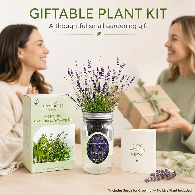 Hydroponic Herb Growing Kit, Self-Watering Mason Jar Herb Garden Starter Kit Indoor, Windowsill Herbs Garden, Grow Your Own Herbs from Organic Seeds (Lavender)