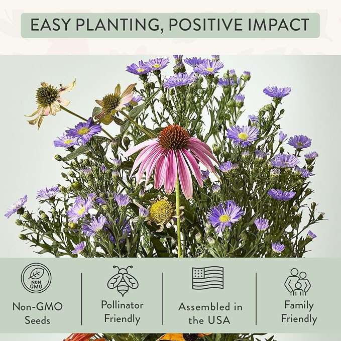 Modern Sprout Seed Pops - Organic Non-GMO Humble Bee Butterfly & Song Bird Wildflower Seeds - Ideal for Indoor & Outdoor - Spring Activity for Kids - Gift for Kids Adults & Plant Lovers (Pack of 12)