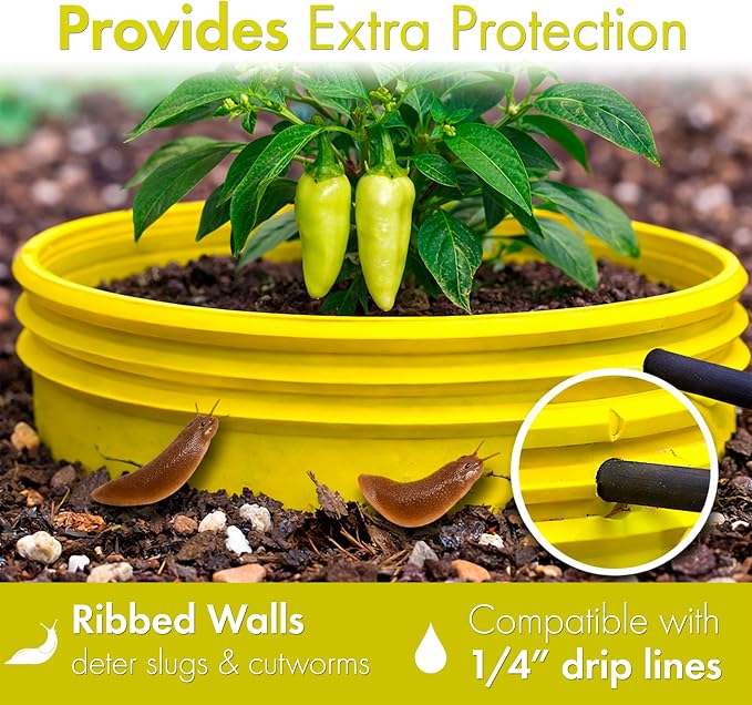 7 inch Solid Planting Grow Rings | 24 Pack Yellow | One-Piece Design for Deep Root Watering Veggies, Herbs & Flowers | Mulch & Soil Barrier | Deter Slugs and Cutworms | Heavy Duty | Made in USA