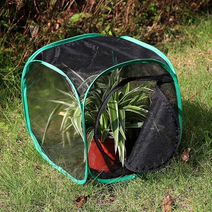 RESTCLOUD Insect and Butterfly Habitat Cage Terrarium Pop-up 12 X 12 X 12 Inches