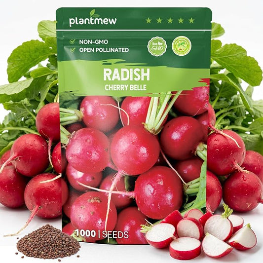 1000 Heirloom Cherry Belle Radish Seeds for Planting – Fast-Growing, Crisp & Mild Flavor, High Germination, Ideal for Home Garden & Container