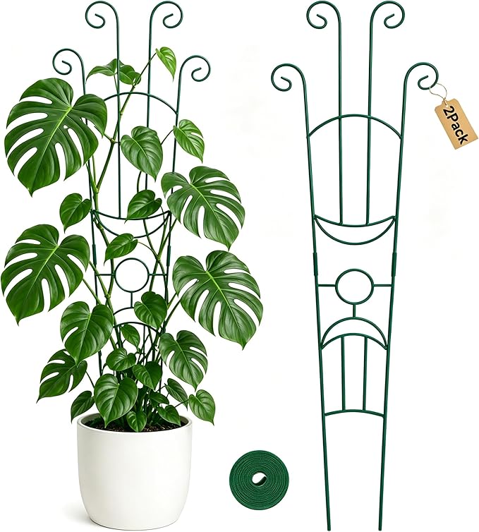 KINGLAKE Plant Trellis for Climbing Plants Indoor Outdoor - 2 Pack 32.7 Inch Green Expandable Metal Garden Trellis for Potted Climbing Plants Support Flower Vine Ivy Monstera Houseplant with Tape