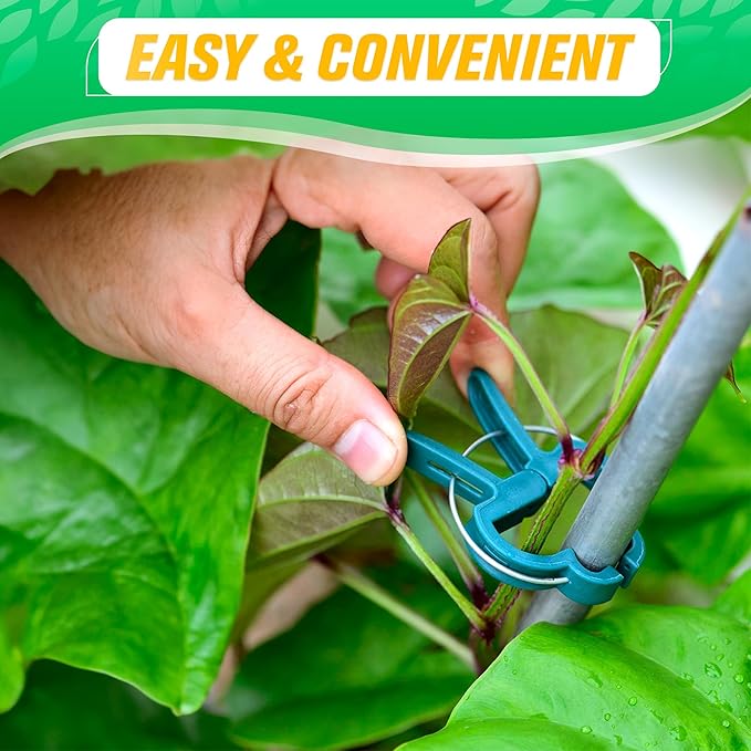 60 Pcs Garden Clips for Tomatoes in 2 Sizes (20 Large / 40 Small) - Plastic Tomato Clips for Garden with Reinforced Spring for Vines, Reusable and Waterproof - Suitable for Vegetables and Flowers